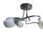 four head glass shade metal celing lamp