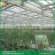 Venlo roof type horticultural glass cheap greenhouse