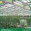Sawtooth type vegetable greenhouse glass greenhouse