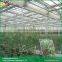 Sawtooth type greenhouse glass suppliers portable greenhouse