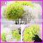new design many colors in stock artificial hydrangea silk flowers