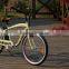 2015 MOTOLIFE Beach Cruiser Luxurious Electric Fat Bike