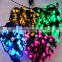 Holiday lighting 5M with 50pcs bulbs holiday party celebration light