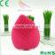 Sunray wrinkle removal facial massage machine sonic facial brush