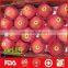 Red crispy fresh fuji apple for wholesale