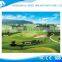 Outdoor Artificial Garden Landscape Grass Carpet