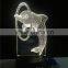 Creative LED flashing night light 3D LED dolphin acrylic illusion lamp