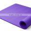 Customized color best sell newest nbr yoga fitness exercise mat