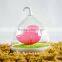 Dimmable Lamp 3d Bird LED Night Light with Rotary Handle and Battery,in Indoors and Outdoors Color Pink
