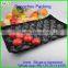 pengzhou plastic tray with handles