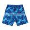 Board Shorts,hotsale Beachwear Shorts,fashion Printed Surf Board Shorts for Men