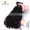 2016 Cheap natural factory price unprocessed malaysian curly hair wet and wavy