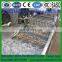 High Quality Turnip /Apple/Pear/Fruit And Vegetable Washing machine