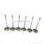 Genuine DCEC Excavator Engine parts 6CT Intake Valve 3924492