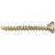 China Manufacture Veterinary Bone Surgery 1.5/2.4/2.7mm Cortical Self-tapping Screw Orthopedic Surgical Trauma Implants