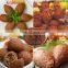 Automatic Small Kubba Kibbeh kubbeh Making Encrusting Machine