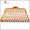 Eco Friendly Comfortable Indian Made Private Label Custom Color Acupressure Mat