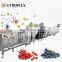 LONKIA commercial root vegetable processing plant ginger washer peeler automatic vegetable washing line