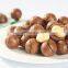 Top quality healthy macca nuts in Vietnam
