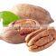 praline chopped pecans havles toffee covered  pecans in shell usa pecans nuts