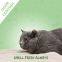 Apple Scent Bentonite Cat Litter Gerry Pet Dust Free 20L /10L /5L