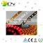 5050 CE Rohs DC 12v Led Strip, Remote Controlled Battery Operated Led Strip Light, led strip lighting