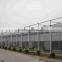 Commercial Greenhouse for hydroponics system