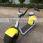 Wellon Original Design Citycoco 2 Big Wheel Electric Self Balance Scooter With Led And Bluetooth