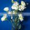Fragrant aroma hot selling lisianthus seeds for sowing