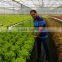 Climate and Hydroponic Controllers for EC / pH, Fertilizer Mixing and Irrigation on Hydroponic Growing Greenhouses
