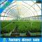 High Quality Hydroponic Systems Single Span Tunnel PE Film Agricultural Greenhouses