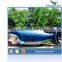 China animatronic animal simulation shark