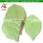 leaf shape note pads