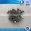 ZZJG Hard Wood Cutting Widia Tips, Widia Insert