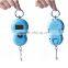 Fish Mini Weighing Length Scale With Hook