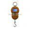 Low Price Electronic 40Kg Hanging Scale
