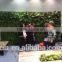 Artificial plants outdoor green wall , foliage wall decoration , fern wall decore plastic plant