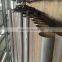 Black welded steel pipe/tube 8