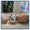 High Polishing Stainless Steel Ball