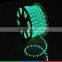 outdoor building projection lighting 110V led flexible hose light