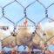 hexagonal wire mesh for sale