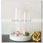 A>< Shabby Cottage Home Accent hand blown optical spherical Cloche with base Christmas Vintage display glass dome with wood tray