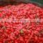 Free Samples Top Quality Tibet Dried Goji Berry Wholesale Price