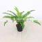 Wholesale bonsai plant artificial indoor tree