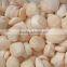 frozen sea scallop shell meat for sale