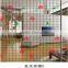 coloful decoration screen printed glass for bathroom door
