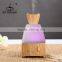 100ml electric aromatherapy essential oil diffuser/ultrasonic diffuser/electric aroma diffuser