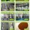 GMP Certified factory supply high quality and Pure Stevia Extract 98% Stevioside, Rebaudioside A