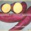 Frozen steamed Japanese sweet potato flesh yellow