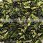CHINA 100% nature about cabbage recipes